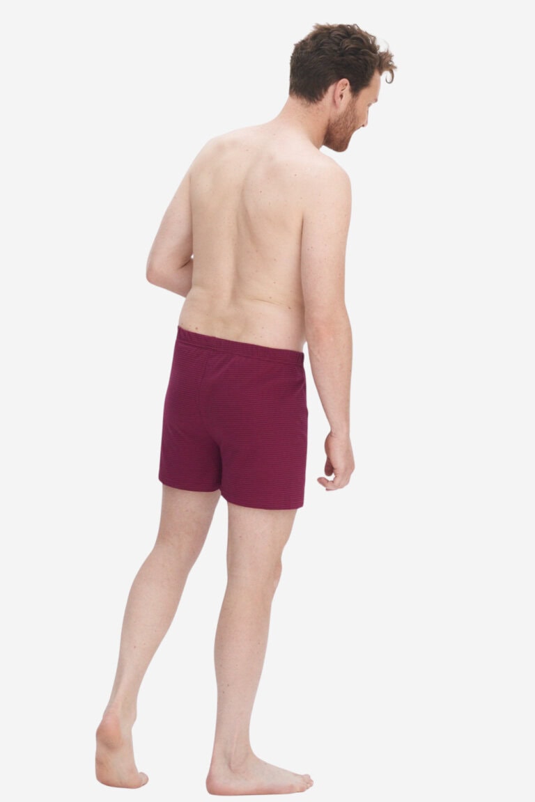 ekologiska boxershorts ben randiga mörkröd modell bakifrån