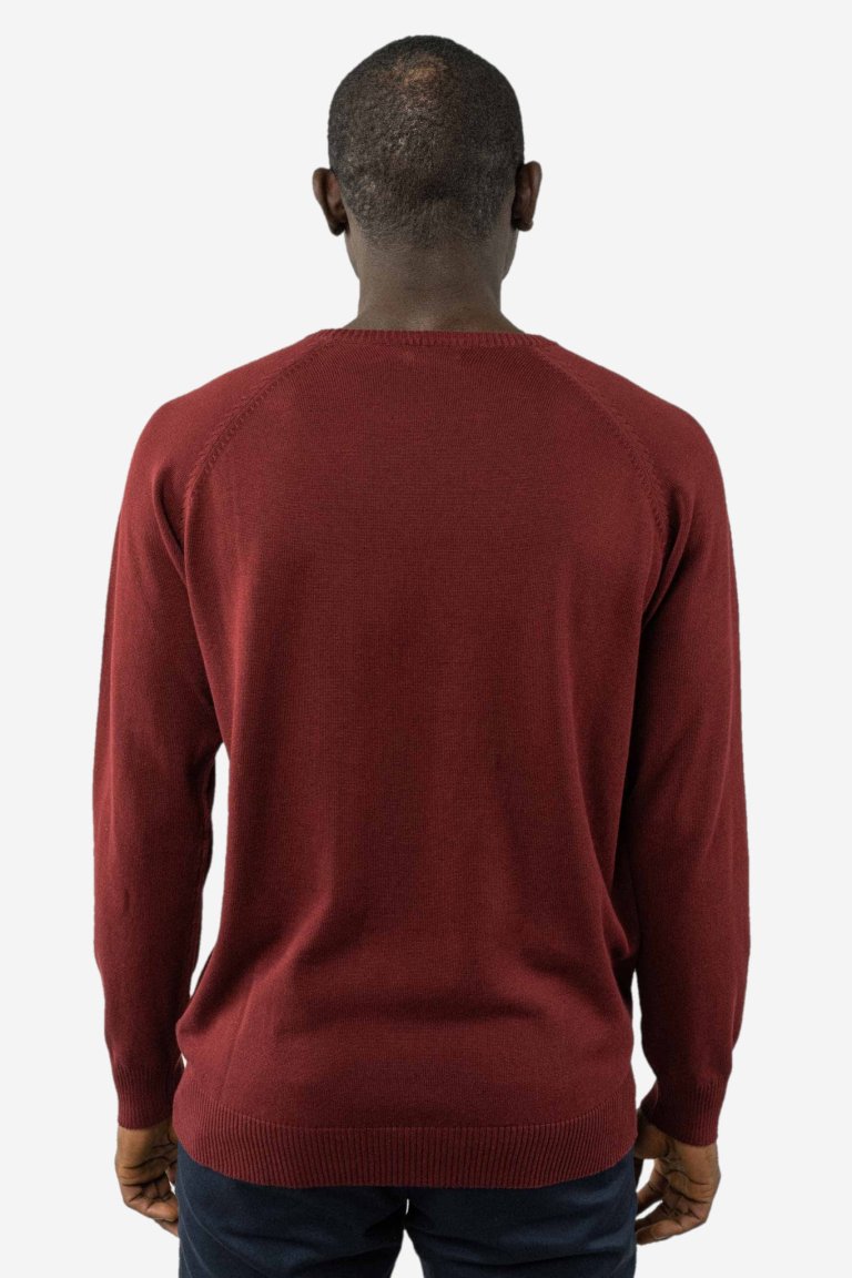 ekologisk tröja herr stickad vinröd modell bakifrån
