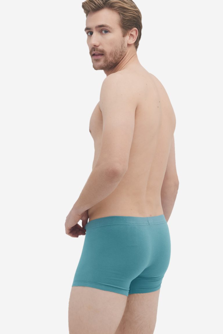 ekologiska kalsonger boxer hogan 2-pack bladmönster/turkos modell bakifrån