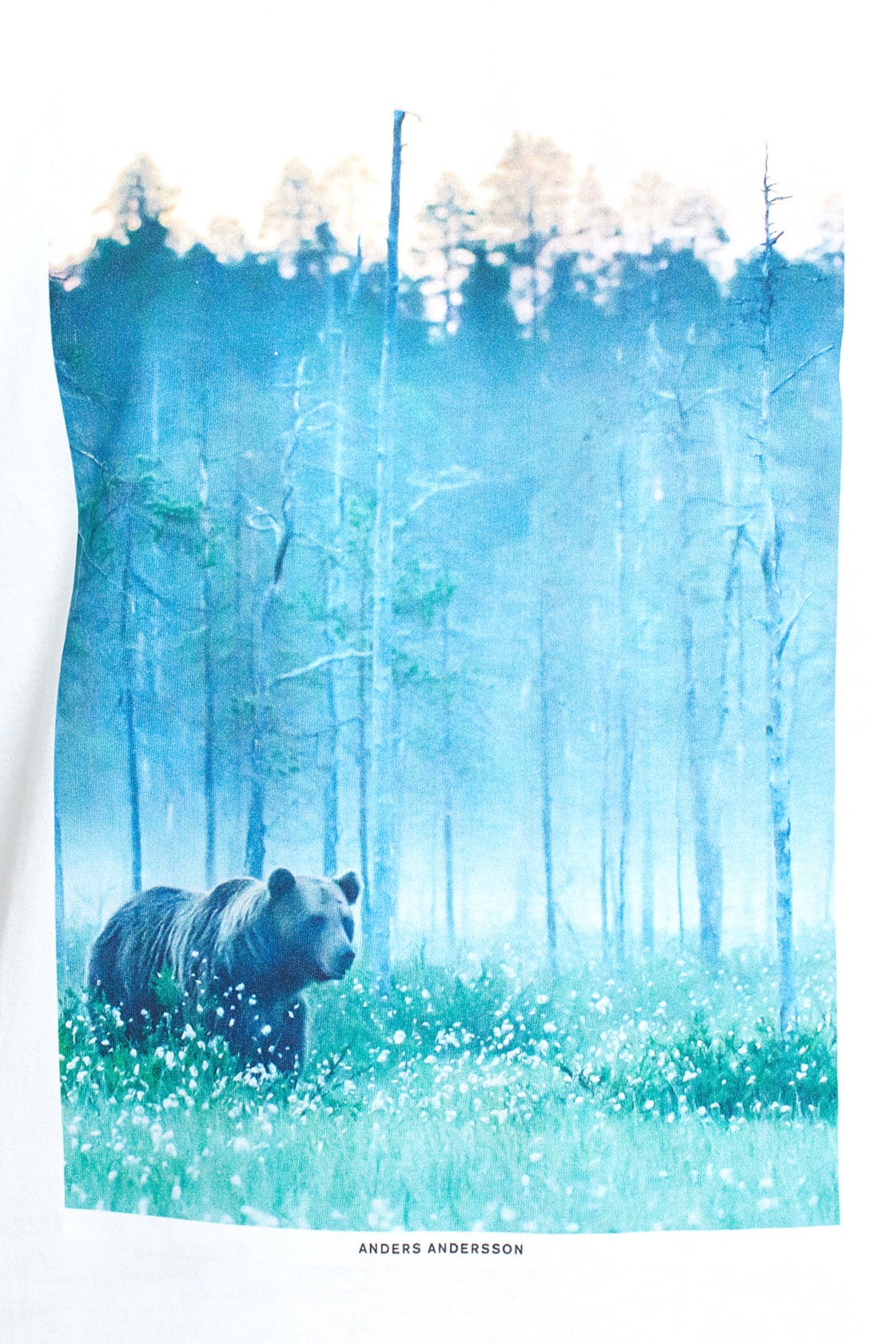 ekologisk t-shirt bear stockholm vit modell närbild