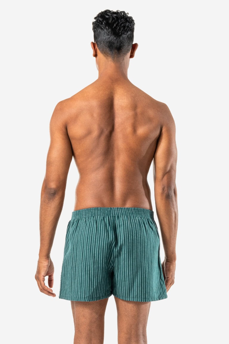 ekologiska boxershorts flanell boris 2-pack grön modell randiga bakifrån