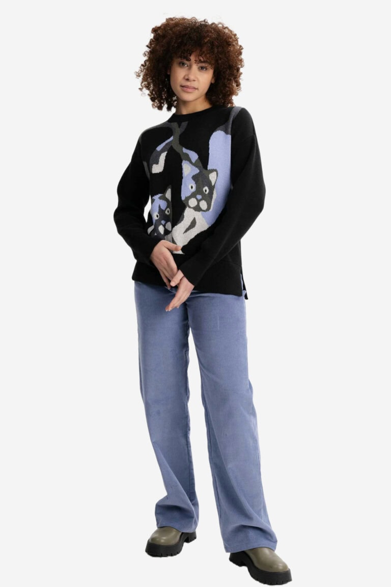 ekologisk tröja boxy motivstickad faiza katter modell helbild