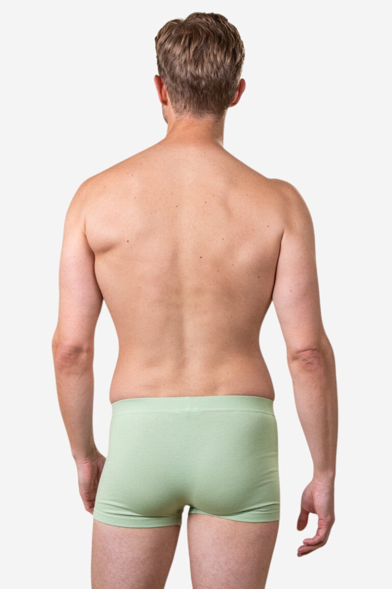 ekologiska kalsonger boxer sagon ljusgrön modell bakifrån